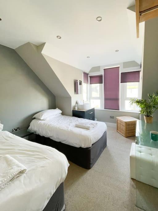 Edge14- Spacious, Stylish And Near The Beach! New Quay Exteriör bild